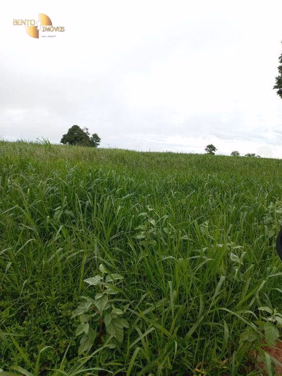 Fazenda de 1.000 ha em Pontal do Araguaia, MT