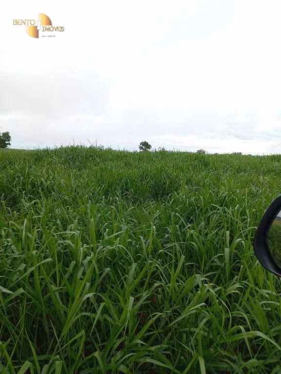 Fazenda de 1.000 ha em Pontal do Araguaia, MT