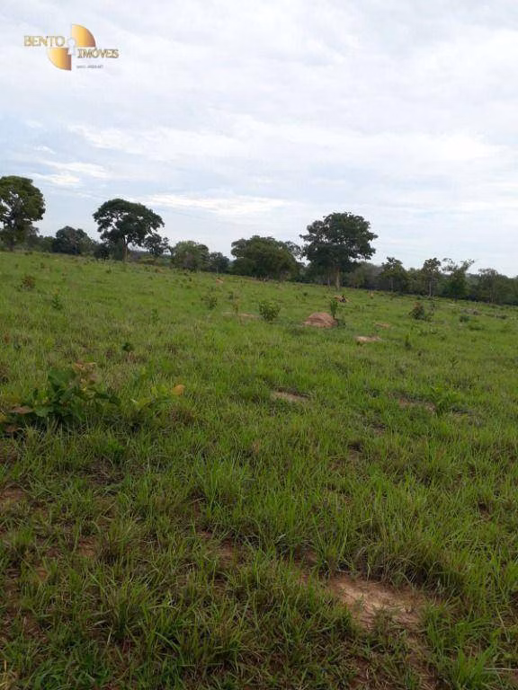 Fazenda de 1.000 ha em Pontal do Araguaia, MT