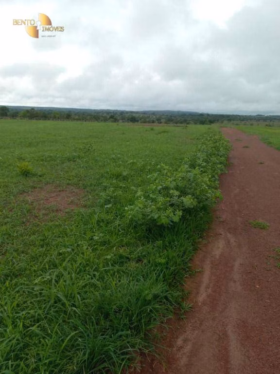Fazenda de 1.000 ha em Pontal do Araguaia, MT