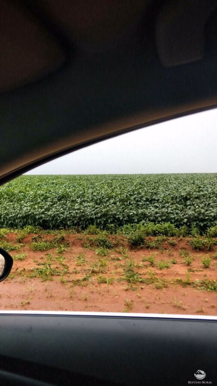 Fazenda de 3.275 ha em Campo Novo do Parecis, MT