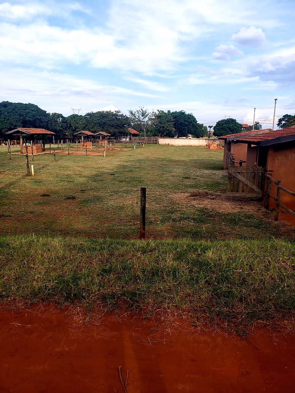 Small farm of 30 acres in Araraquara, SP, Brazil