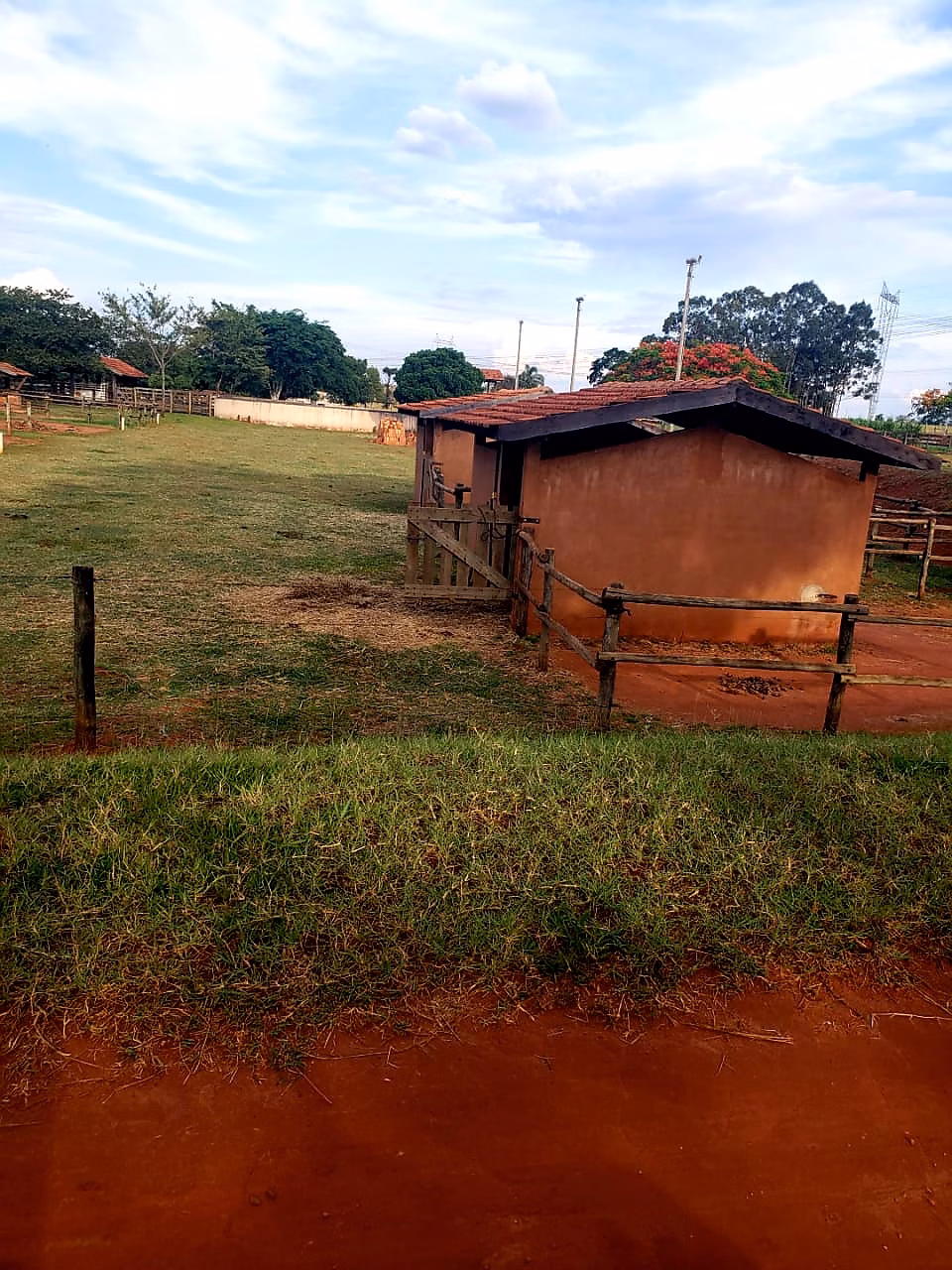 Small farm of 30 acres in Araraquara, SP, Brazil