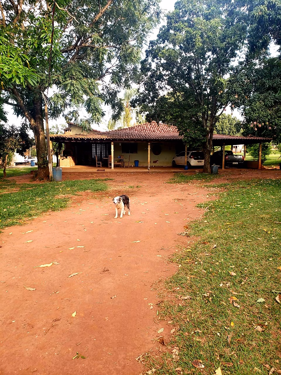 Small farm of 30 acres in Araraquara, SP, Brazil