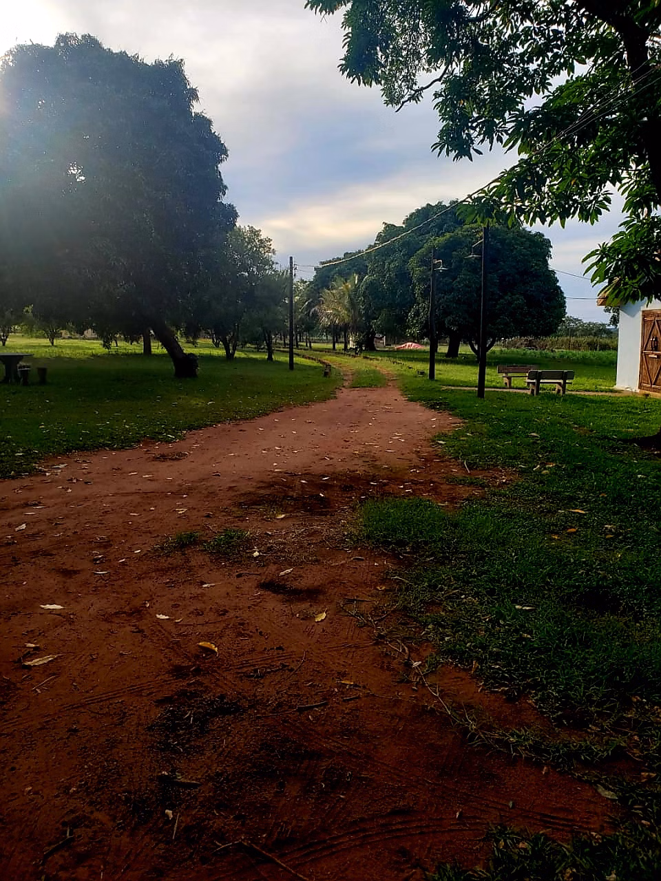Small farm of 30 acres in Araraquara, SP, Brazil