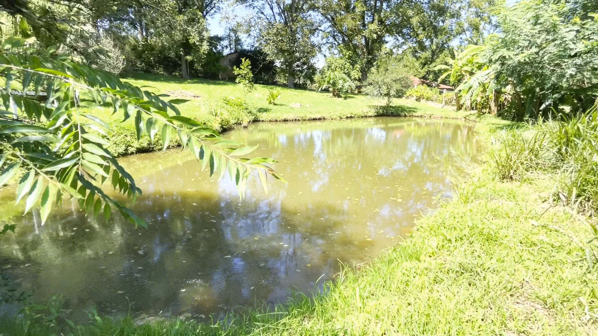 Country home of 5 acres in Caraá, RS, Brazil