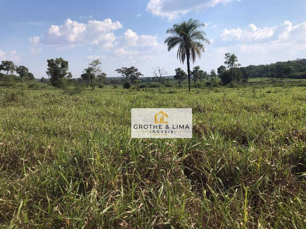 Fazenda de 1.016 ha em Araguaína, TO