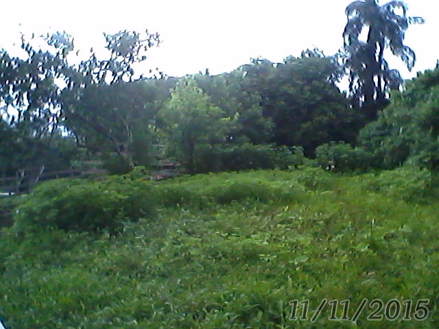 Small farm of 31 acres in Westfália, RS, Brazil