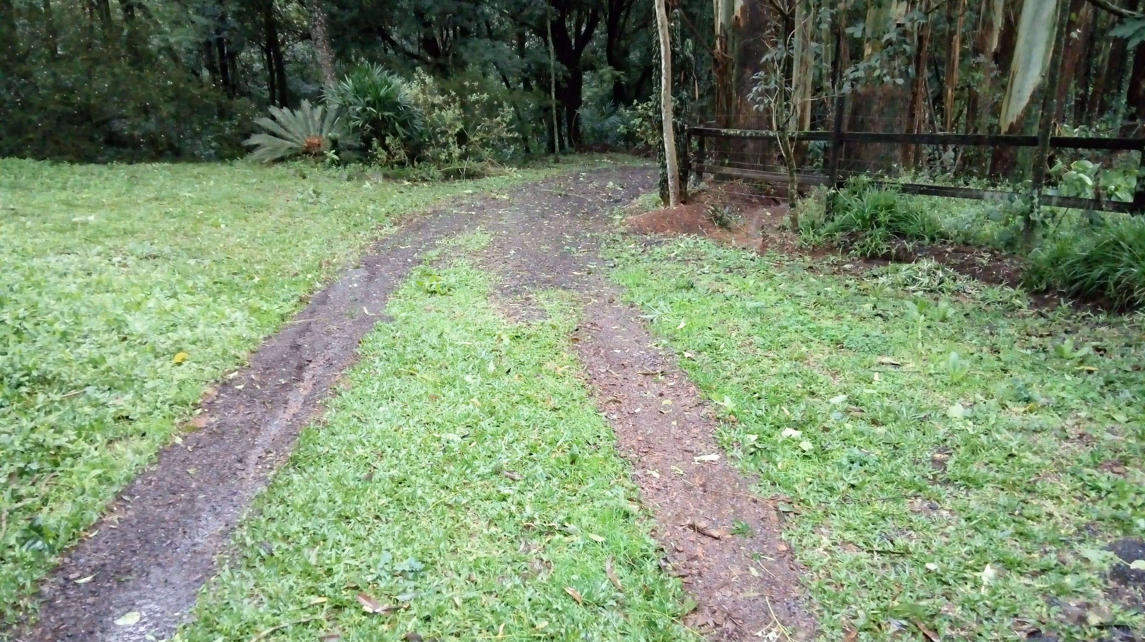 Small farm of 31 acres in Westfália, RS, Brazil