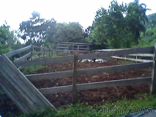 Small farm of 31 acres in Westfália, RS, Brazil