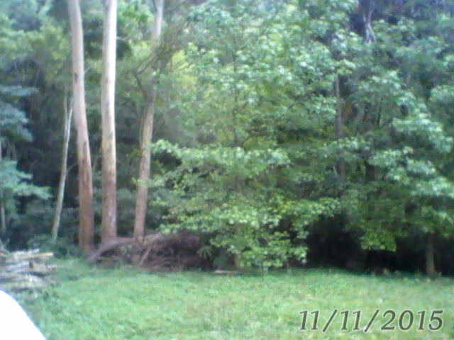 Small farm of 31 acres in Westfália, RS, Brazil