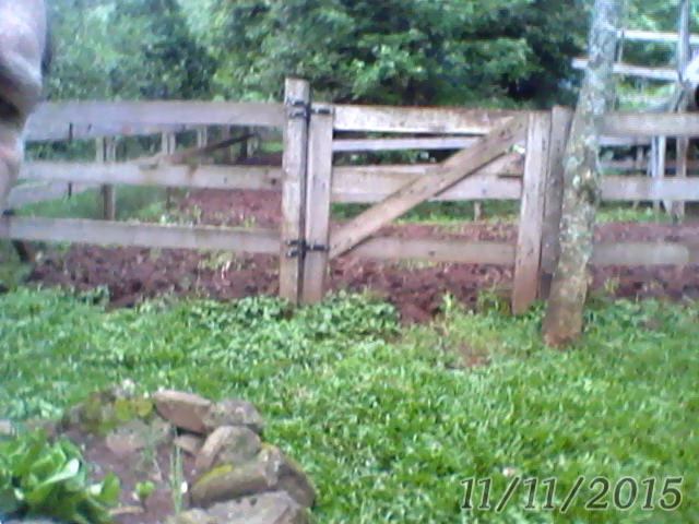 Small farm of 31 acres in Westfália, RS, Brazil