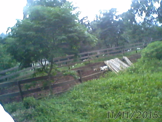Small farm of 31 acres in Westfália, RS, Brazil