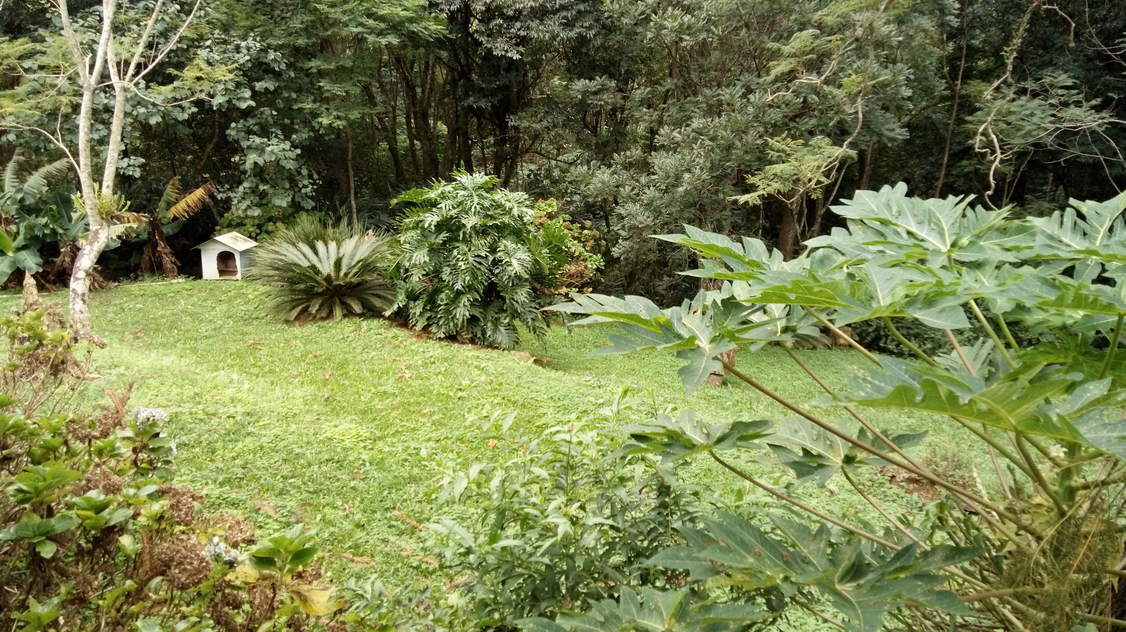 Small farm of 31 acres in Westfália, RS, Brazil