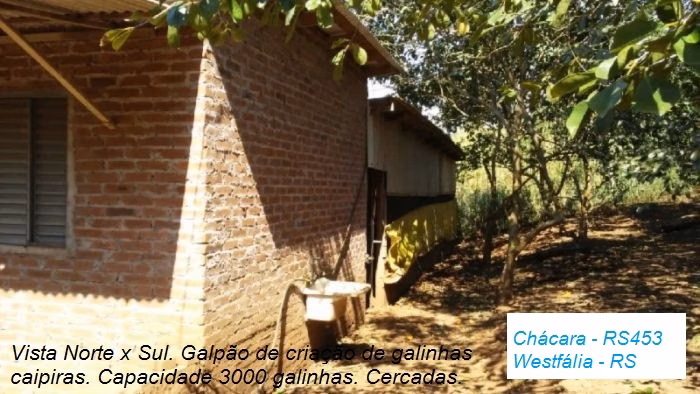 Small farm of 31 acres in Westfália, RS, Brazil