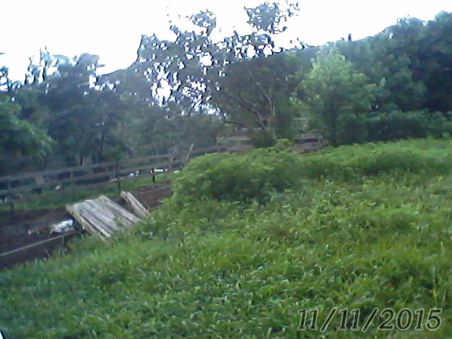 Small farm of 31 acres in Westfália, RS, Brazil