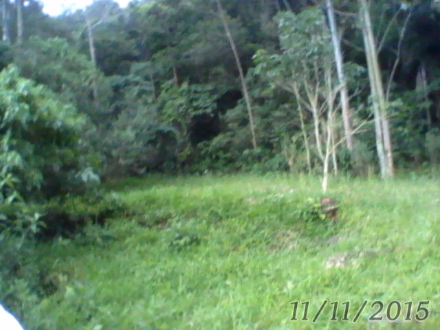 Small farm of 31 acres in Westfália, RS, Brazil