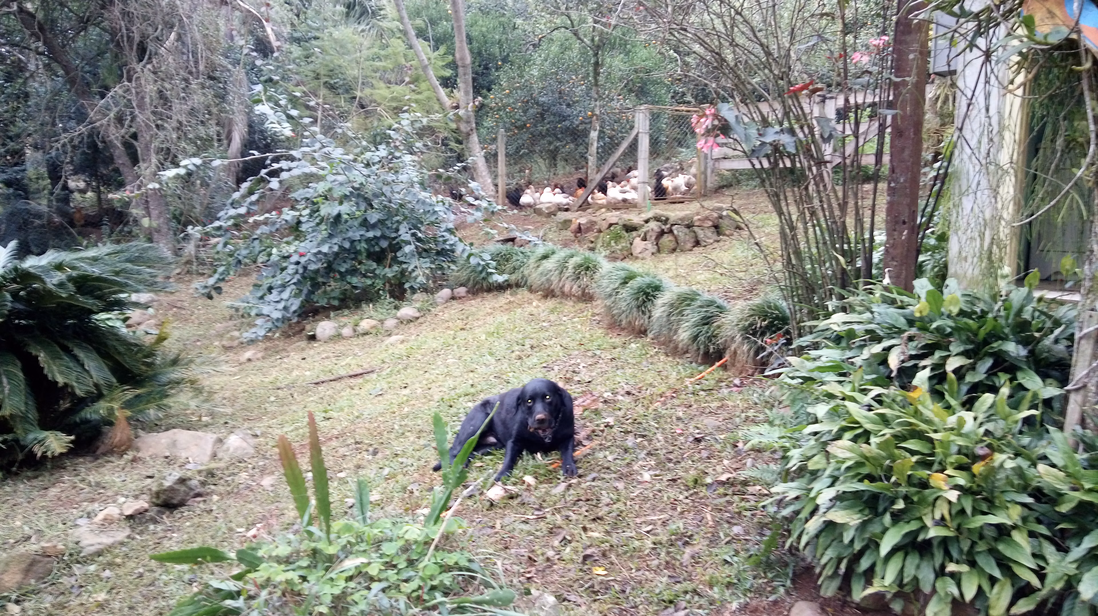 Small farm of 31 acres in Westfália, RS, Brazil