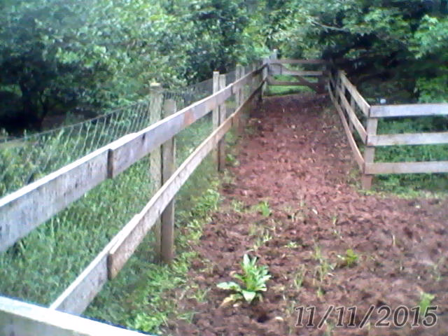 Small farm of 31 acres in Westfália, RS, Brazil