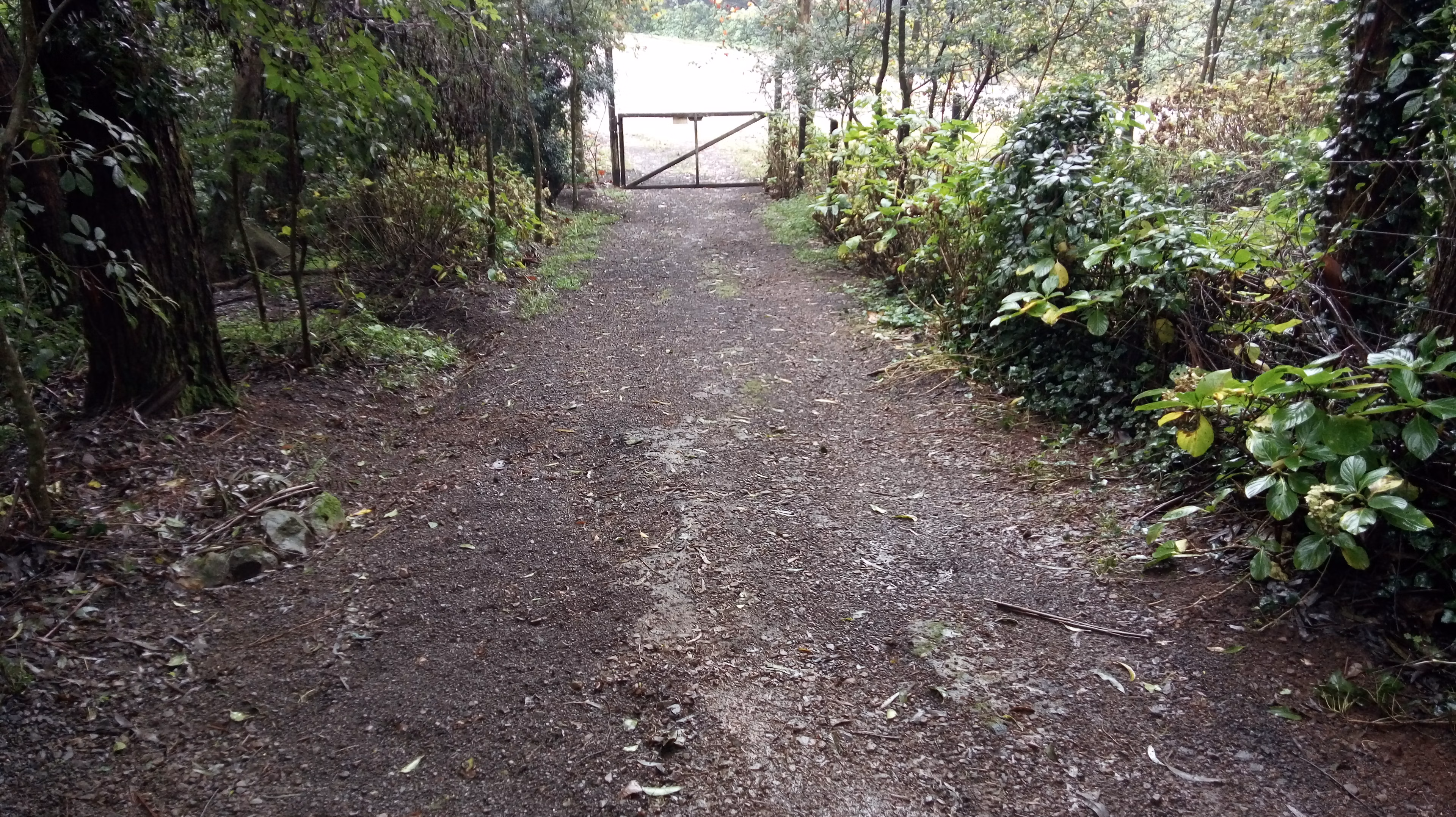Small farm of 31 acres in Westfália, RS, Brazil