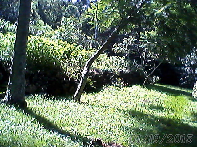 Small farm of 31 acres in Westfália, RS, Brazil