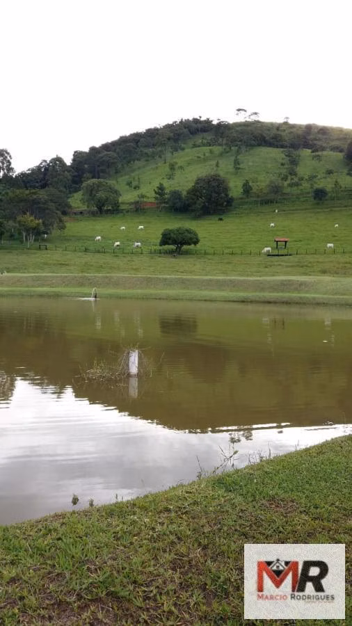 Sítio de 12 ha em Monte Sião, MG