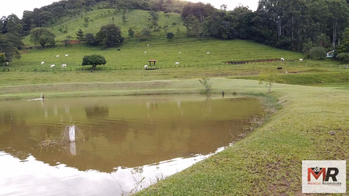 Sítio de 12 ha em Monte Sião, MG