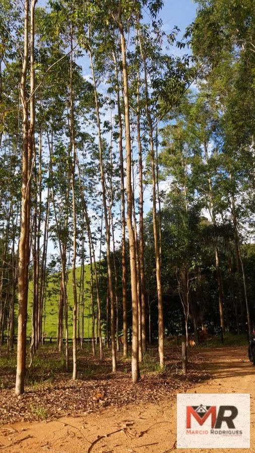 Sítio de 12 ha em Monte Sião, MG