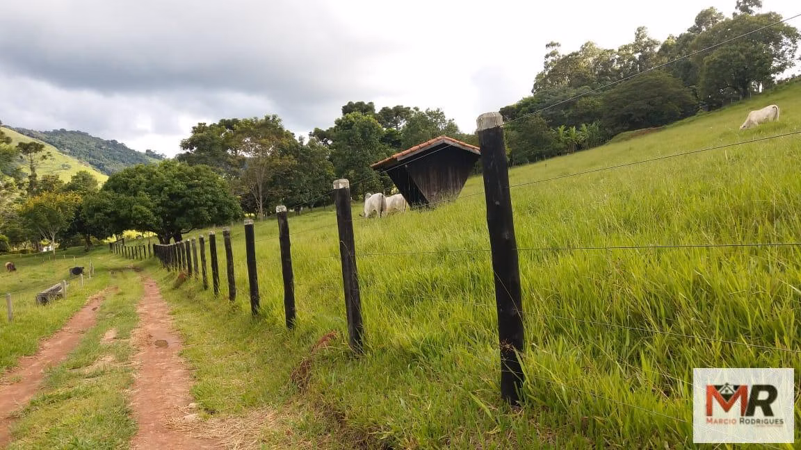 Sítio de 12 ha em Monte Sião, MG