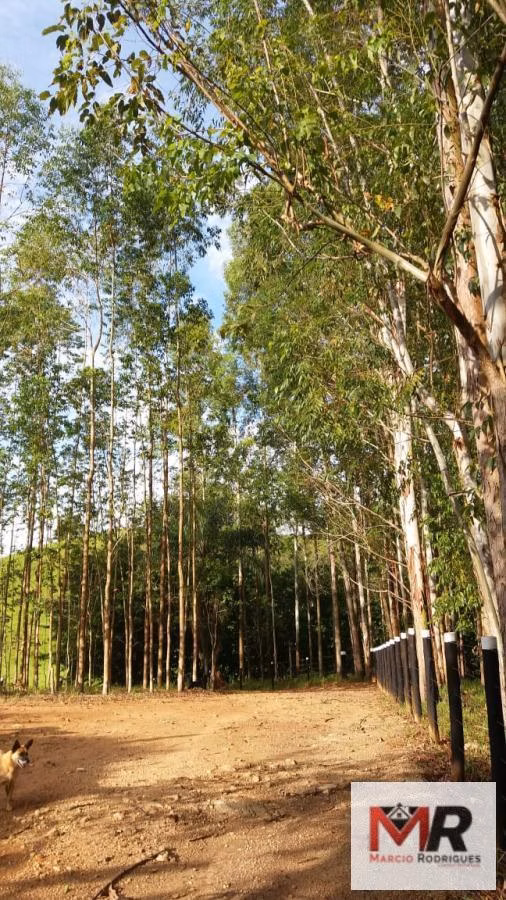 Sítio de 12 ha em Monte Sião, MG