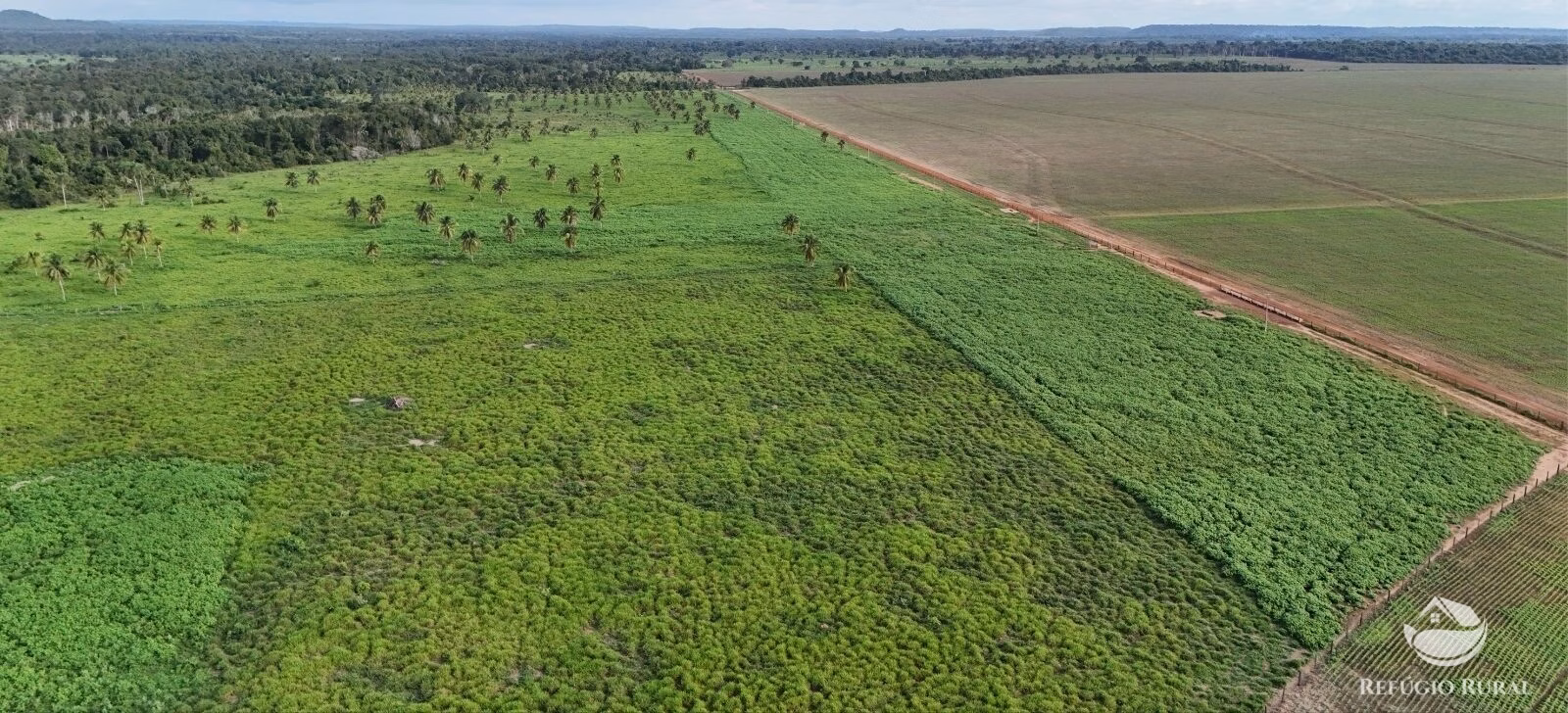 Fazenda de 3.030 ha em Estreito, MA