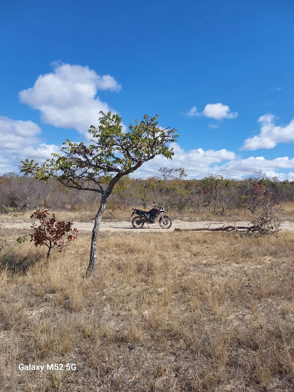 Farm of 450 acres in Riacho dos Machados, MG, Brazil