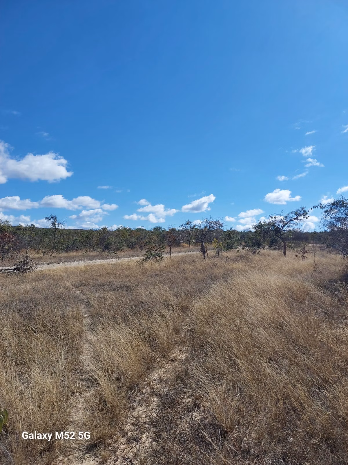 Farm of 450 acres in Riacho dos Machados, MG, Brazil