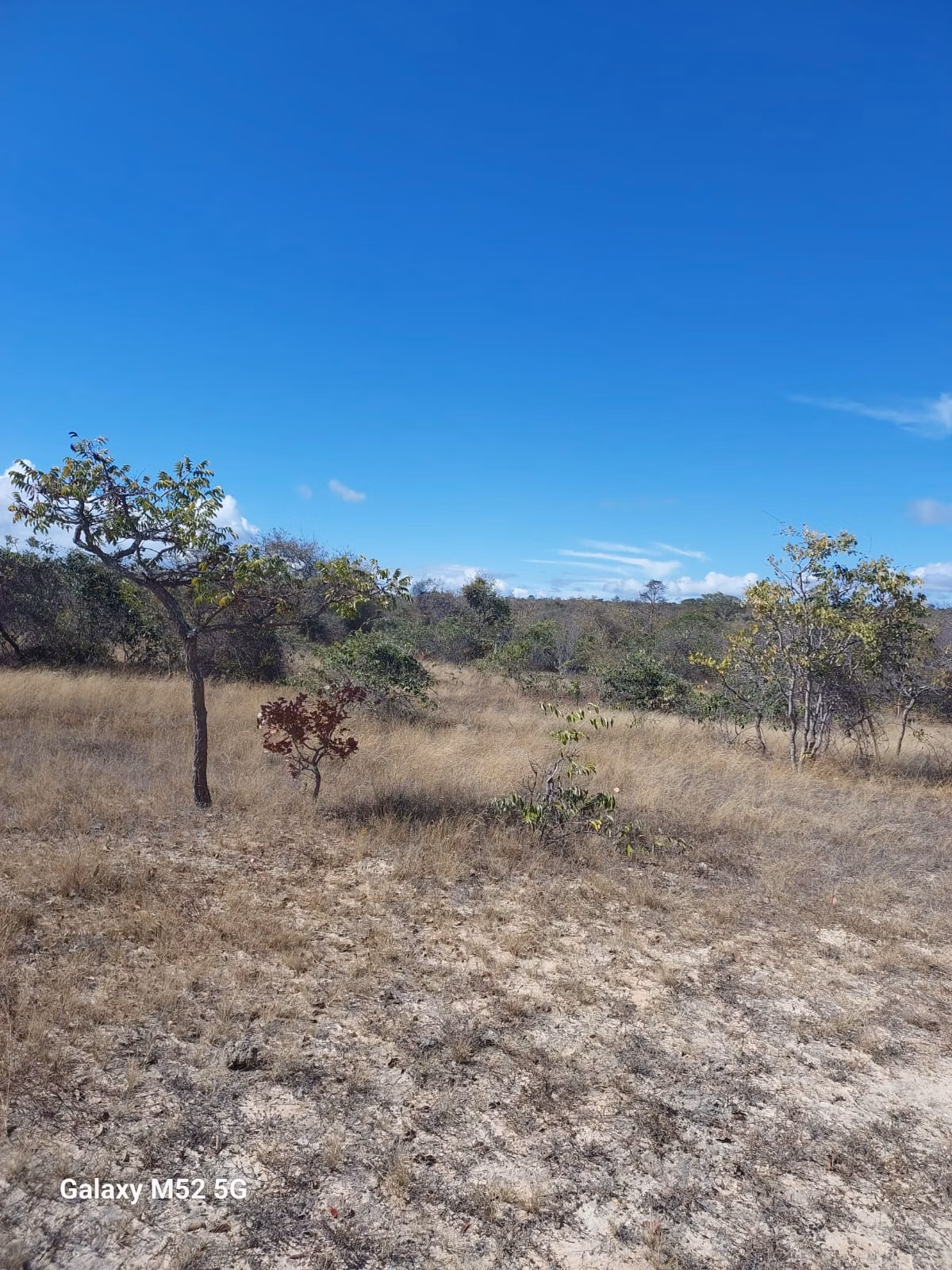 Farm of 450 acres in Riacho dos Machados, MG, Brazil