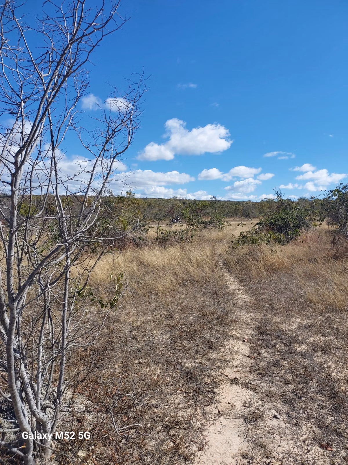 Farm of 450 acres in Riacho dos Machados, MG, Brazil