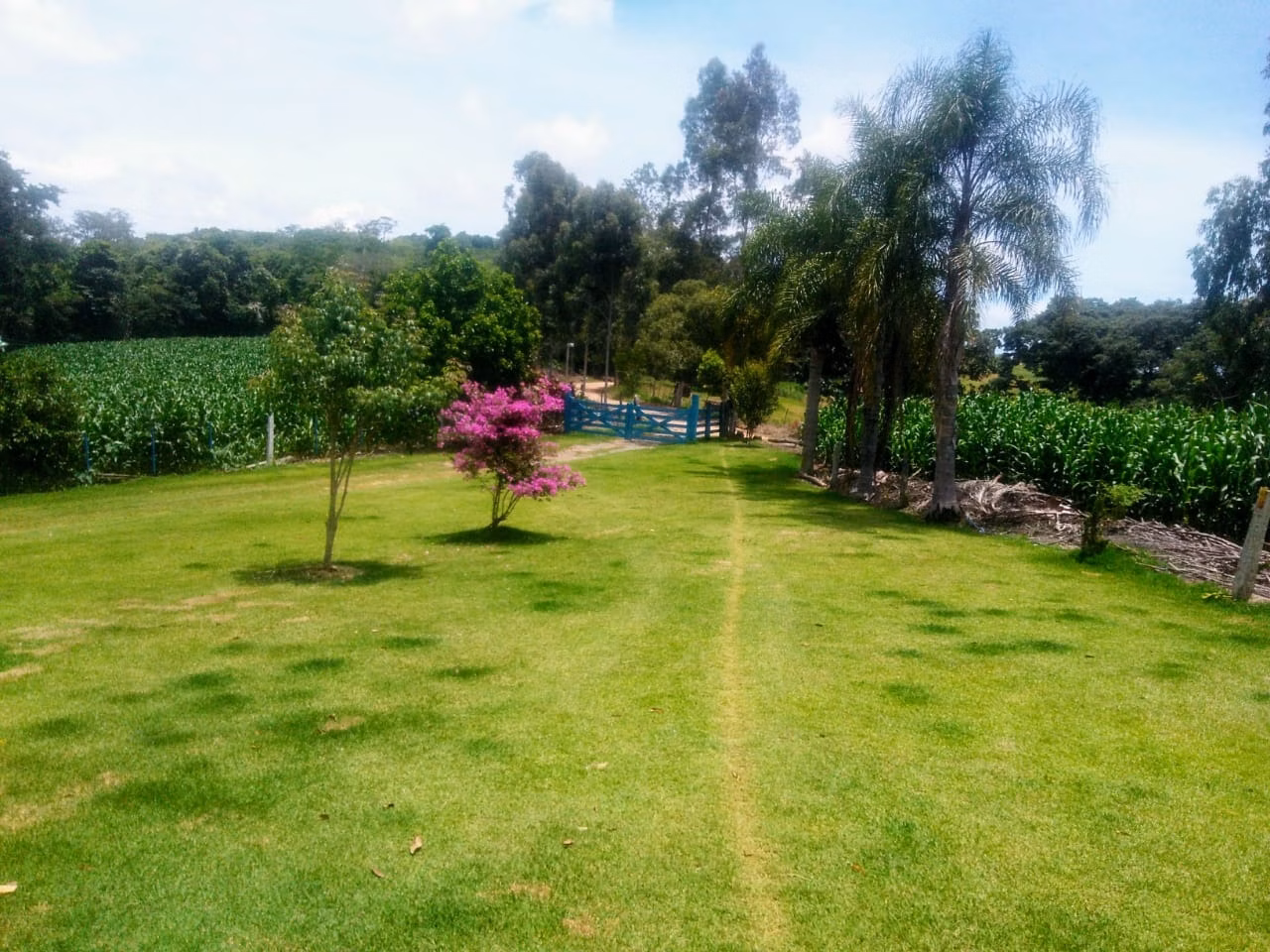 Sítio de 15 ha em Angatuba, SP
