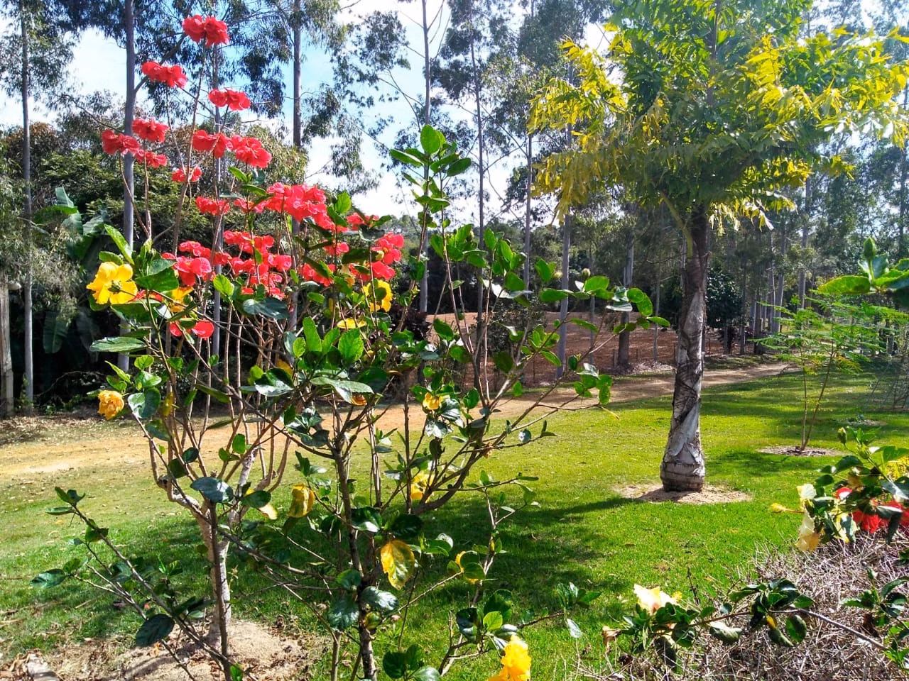 Sítio de 15 ha em Angatuba, SP