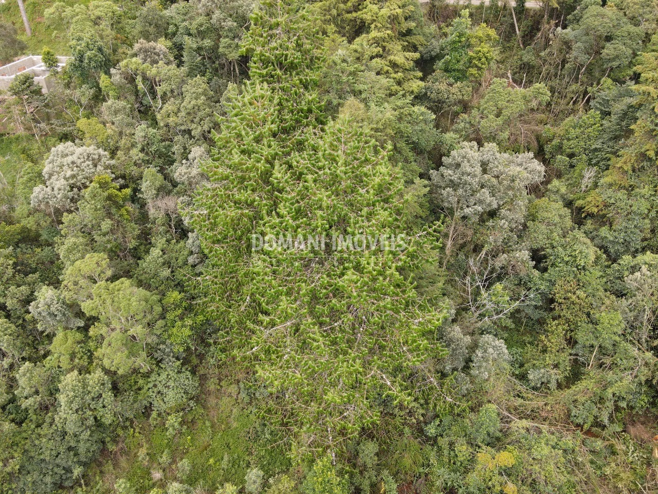 Plot of 1,260 m² in Campos do Jordão, SP, Brazil