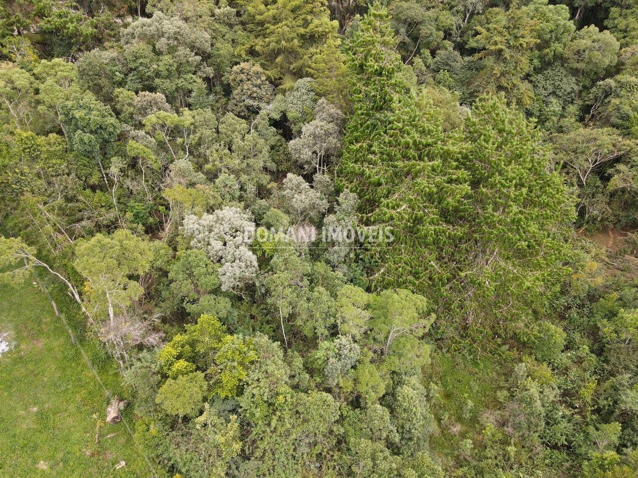 Plot of 1,260 m² in Campos do Jordão, SP, Brazil
