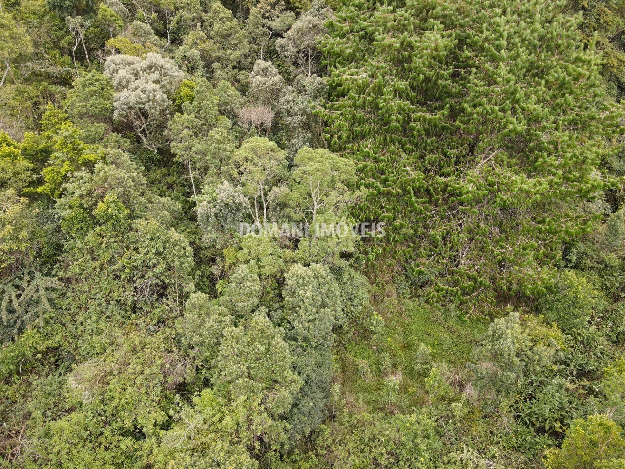 Plot of 1,260 m² in Campos do Jordão, SP, Brazil