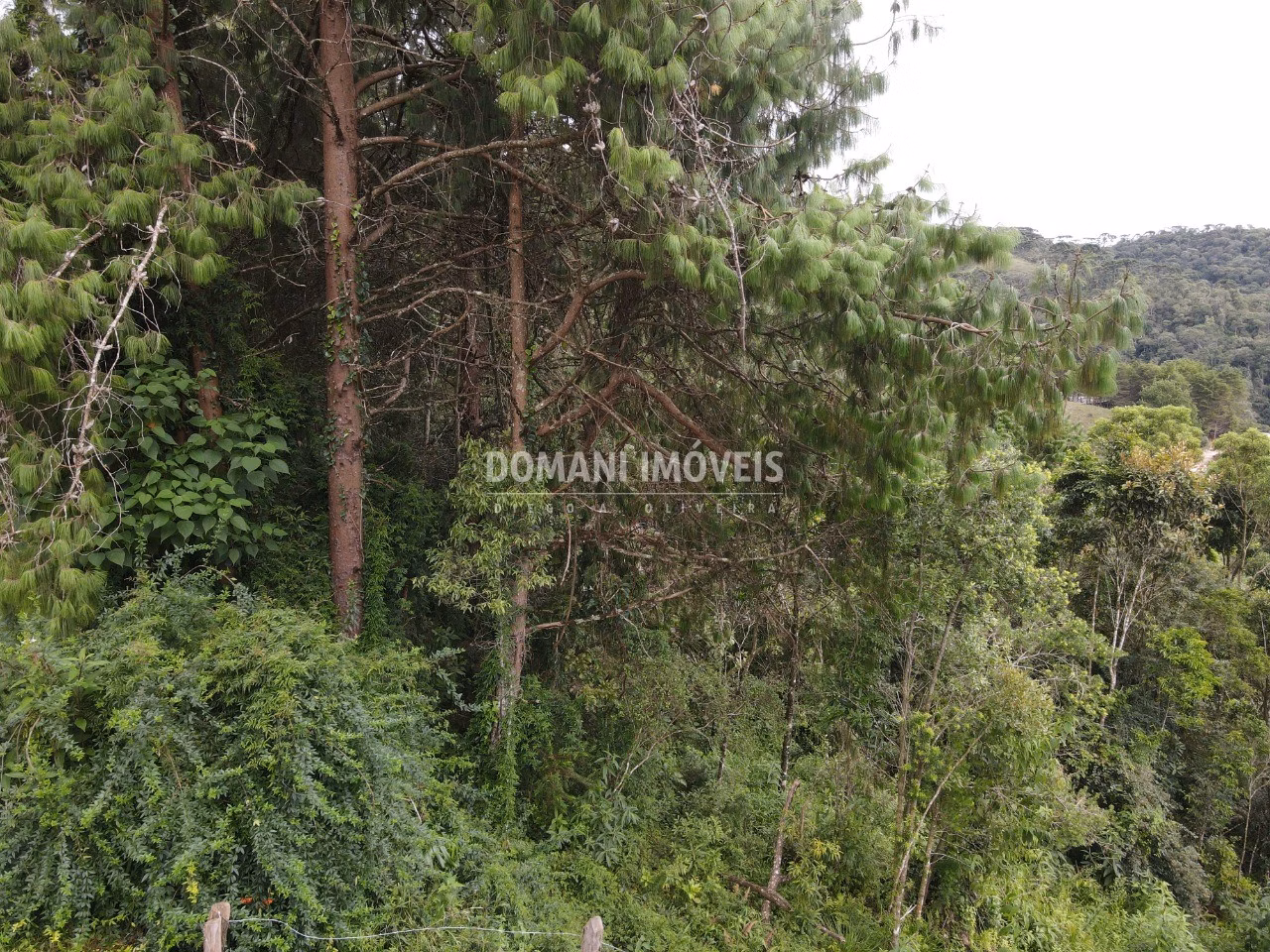 Plot of 1,260 m² in Campos do Jordão, SP, Brazil