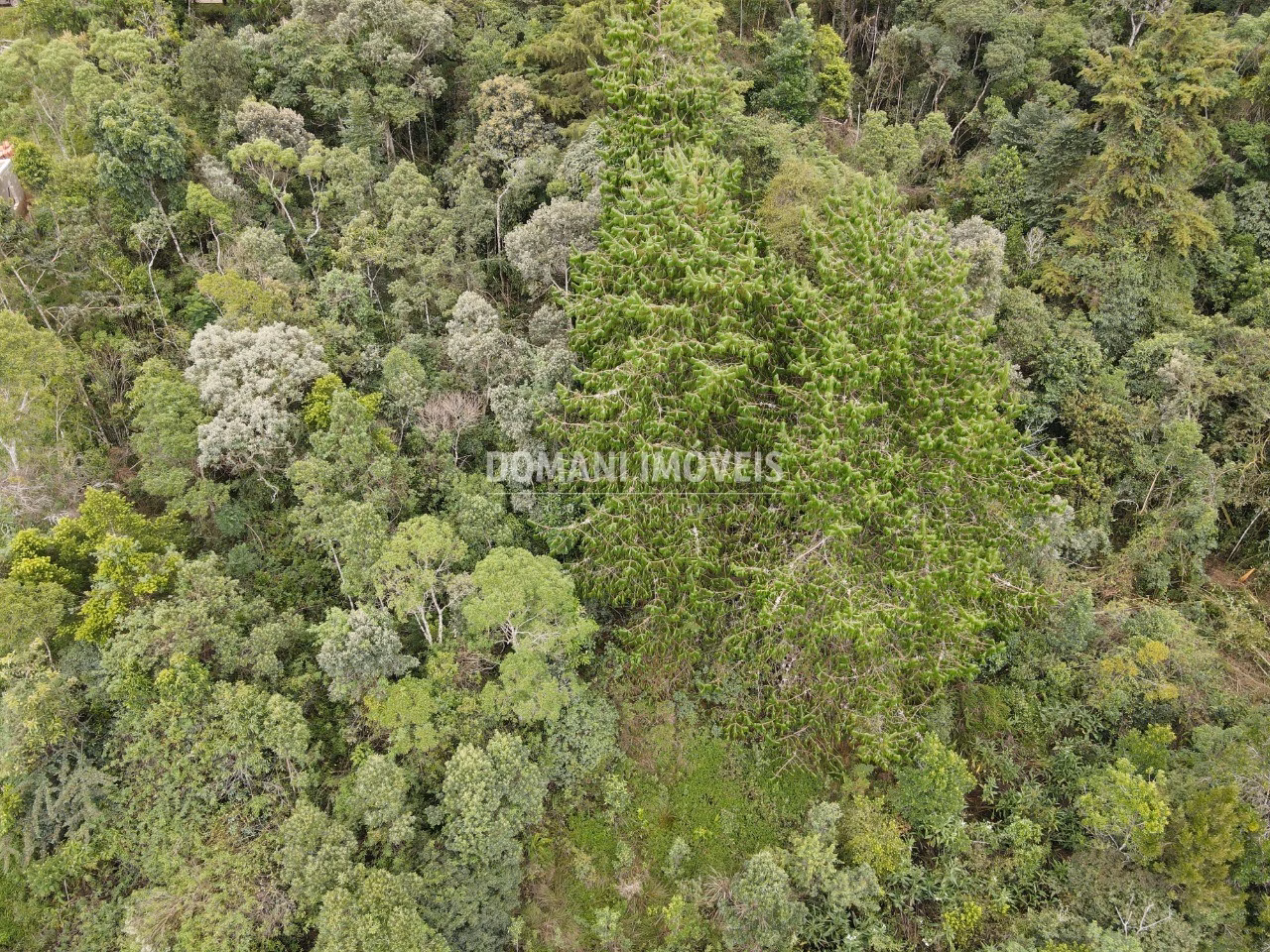 Plot of 1,260 m² in Campos do Jordão, SP, Brazil