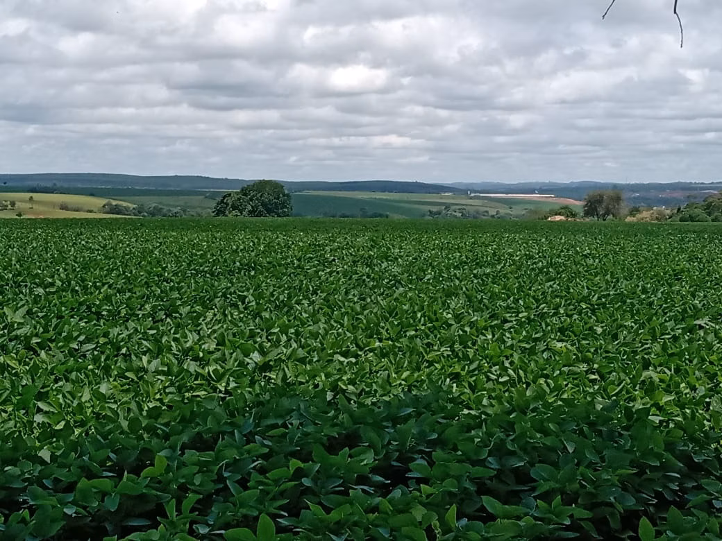 Small farm of 78 acres in Angatuba, SP, Brazil