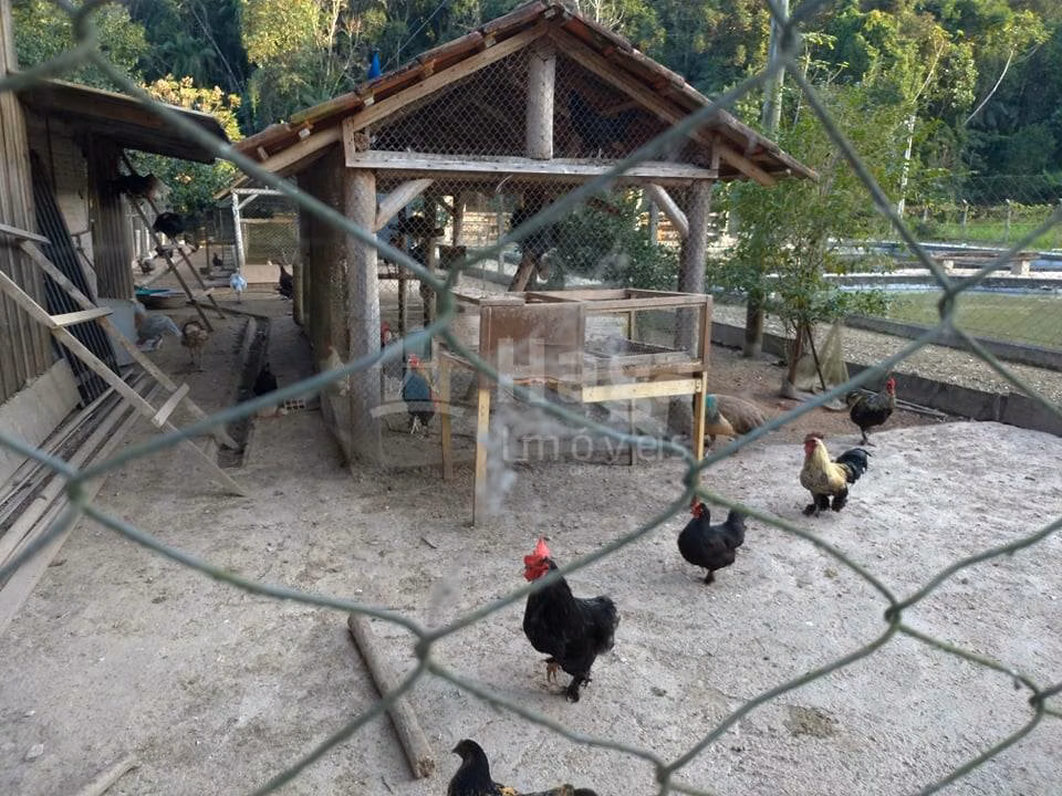 Fazenda de 3.000 m² em Guabiruba, SC
