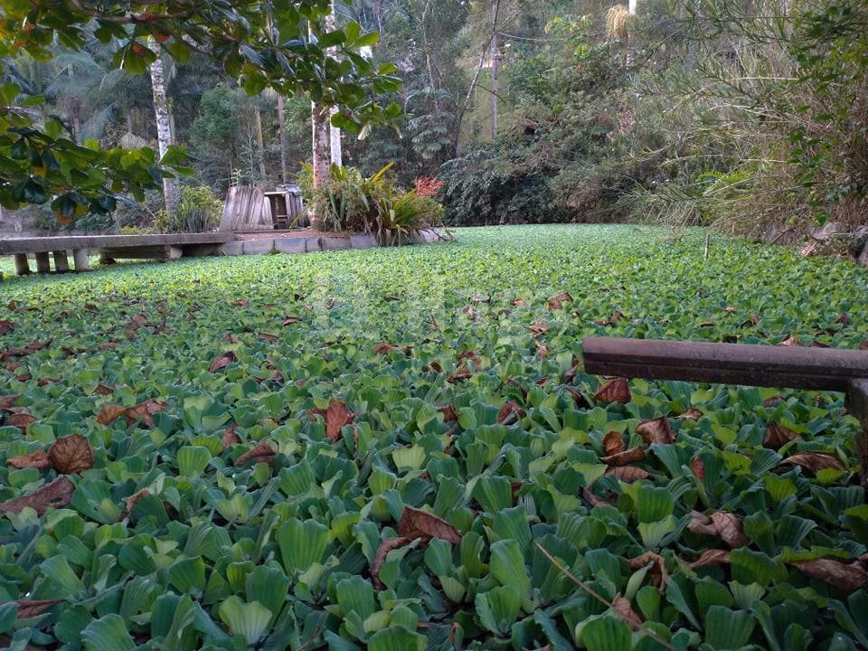 Fazenda de 3.000 m² em Guabiruba, SC