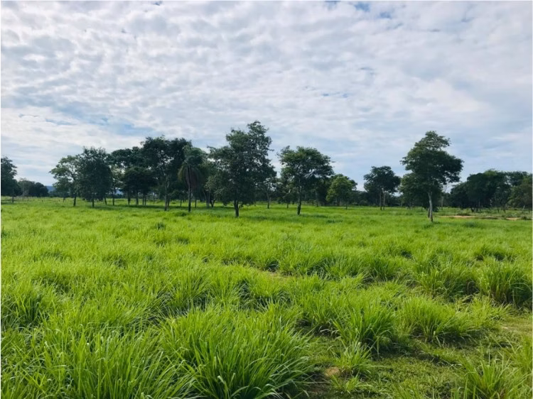 Farm of 3,212 acres in Cáceres, MT, Brazil