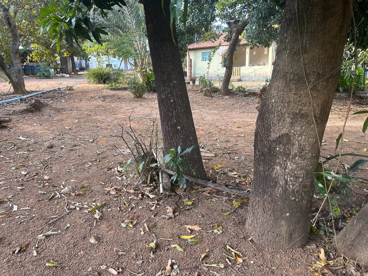 Fazenda de 220 ha em Grão Mogol, MG