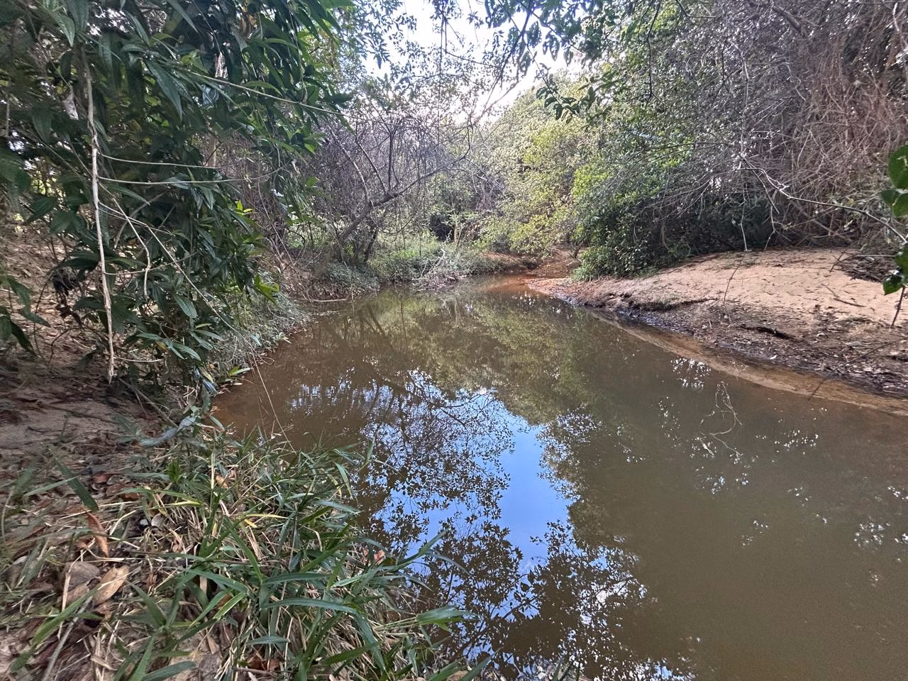 Fazenda de 220 ha em Grão Mogol, MG