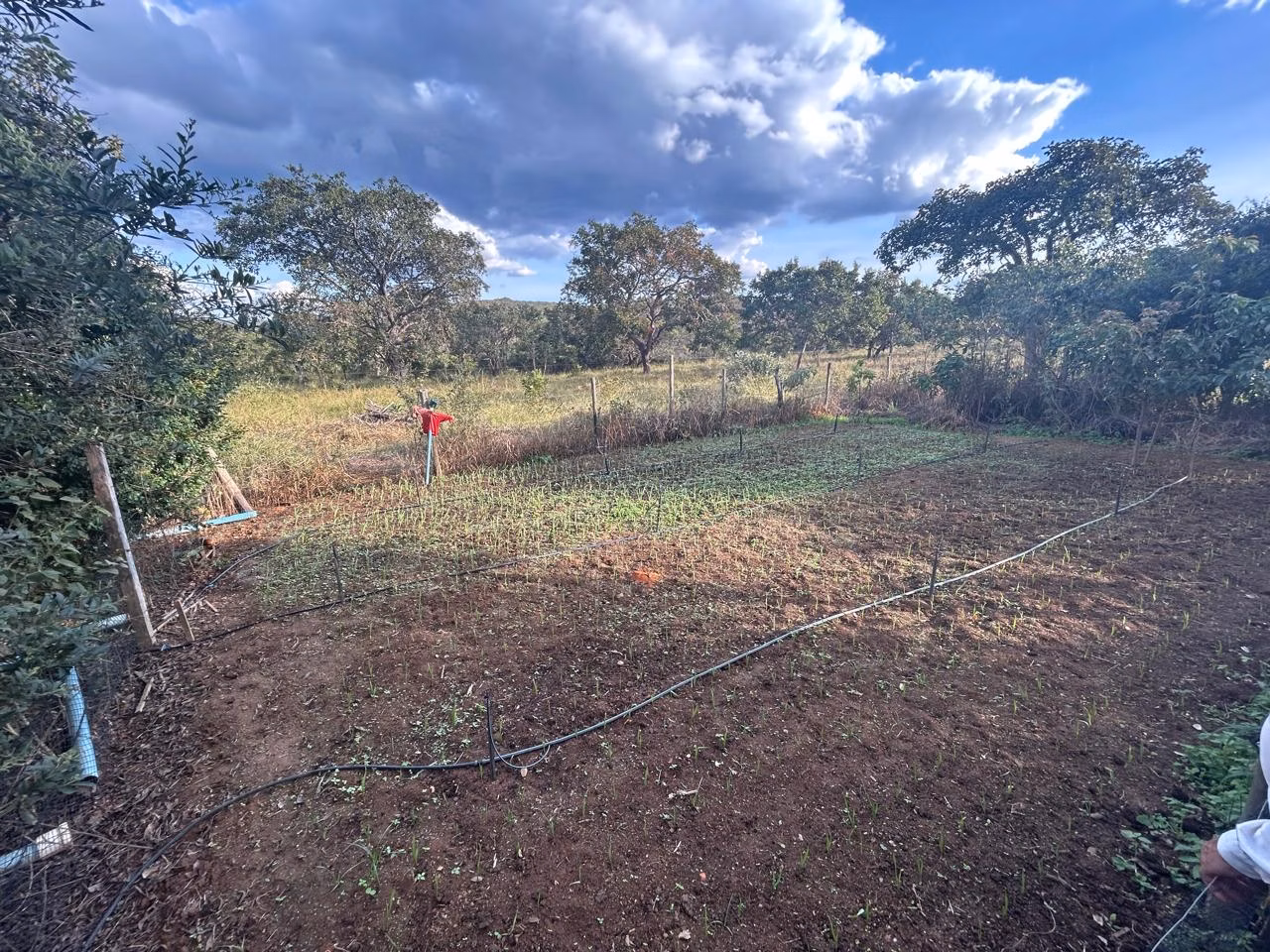 Fazenda de 220 ha em Grão Mogol, MG
