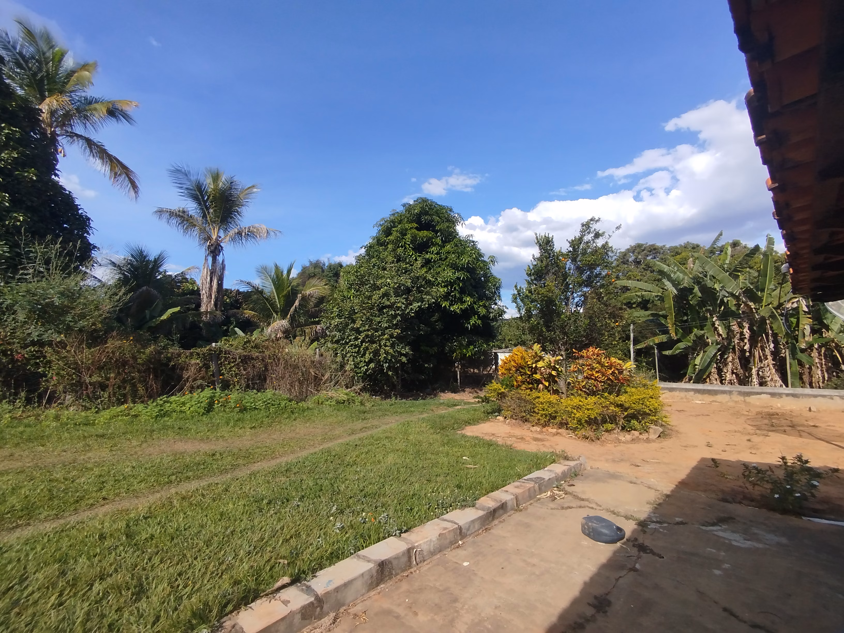 Fazenda de 220 ha em Grão Mogol, MG
